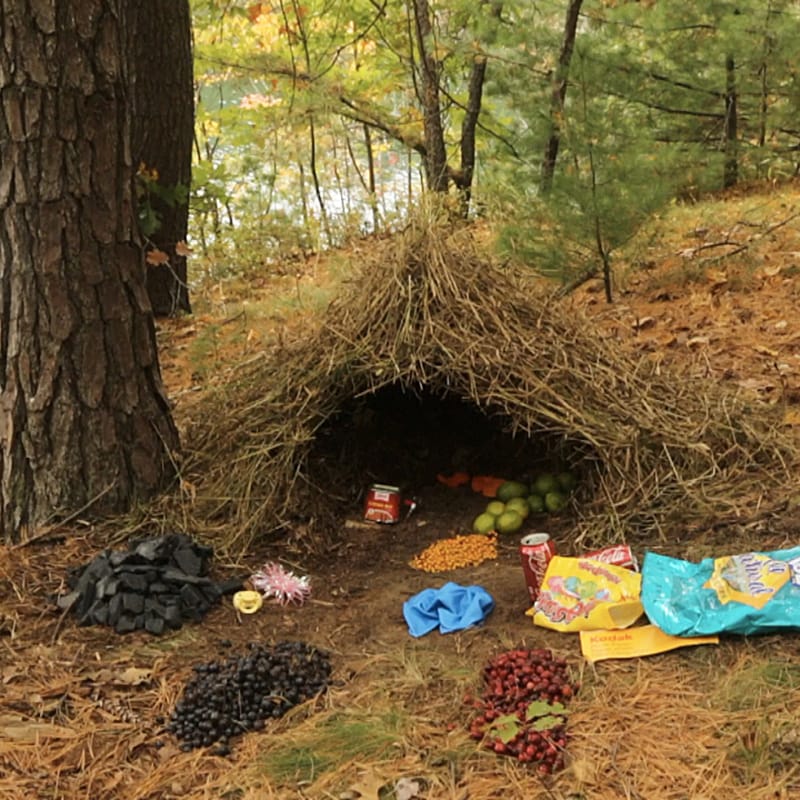 Nick Koppenhagen - undefined