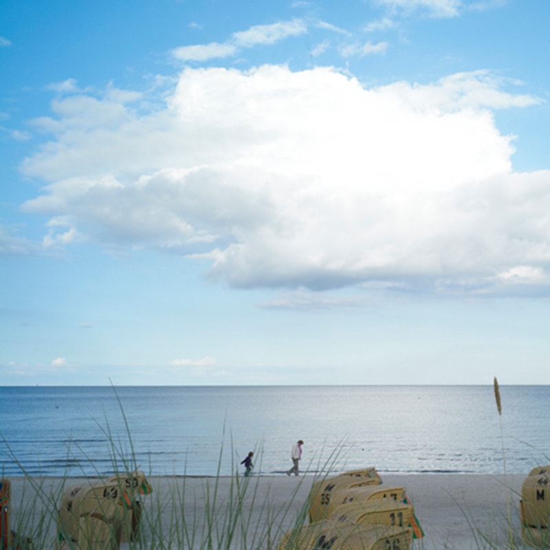 Natalie Kriwy Photographer - undefined